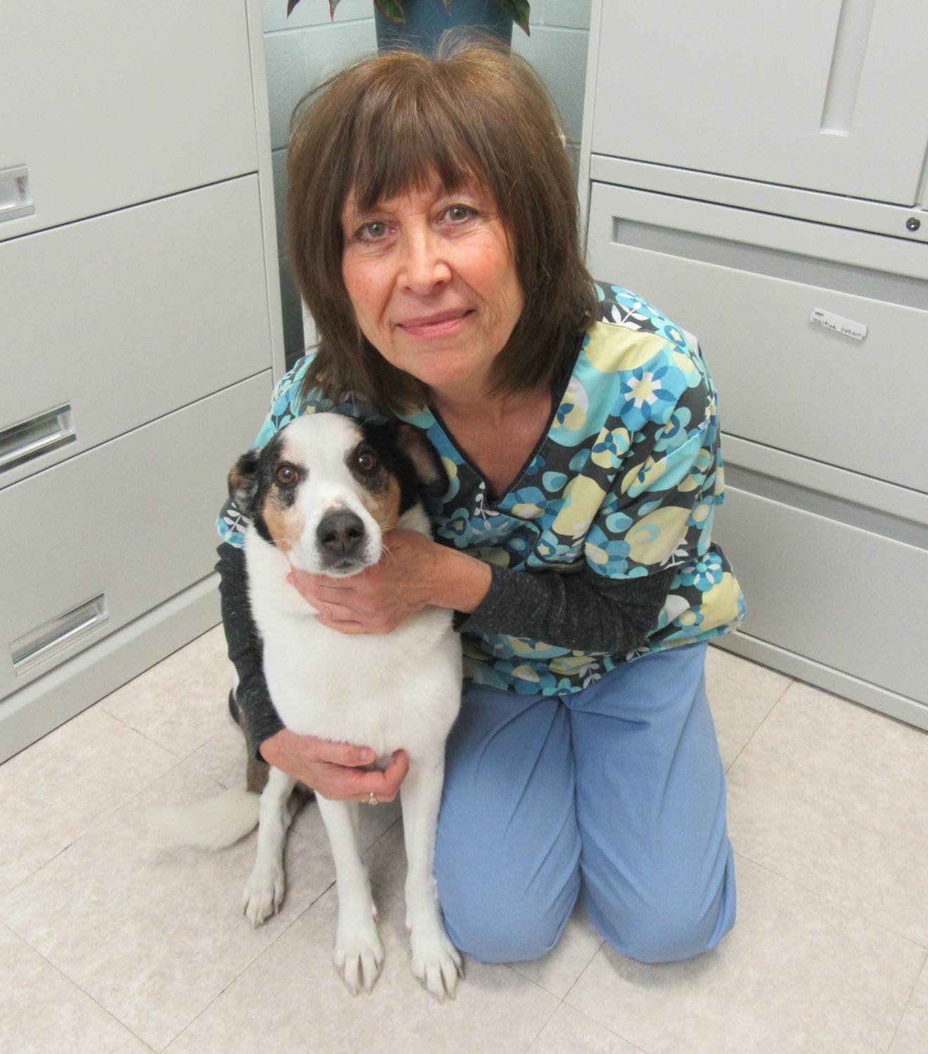 Our Staff - Fox Valley Animal Hospital - Crystal Lake, IL