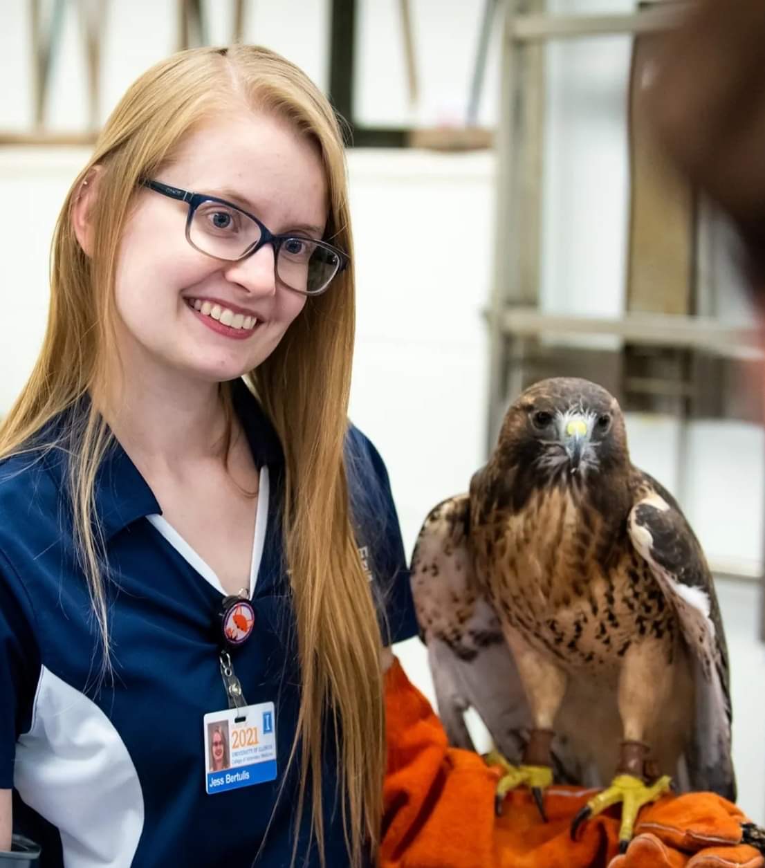 Dr. Jessica Bertulis DVM with a hawk Dr. Jessica Bertulis DVM with a hawk