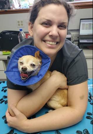 Staff hugging dog in cone