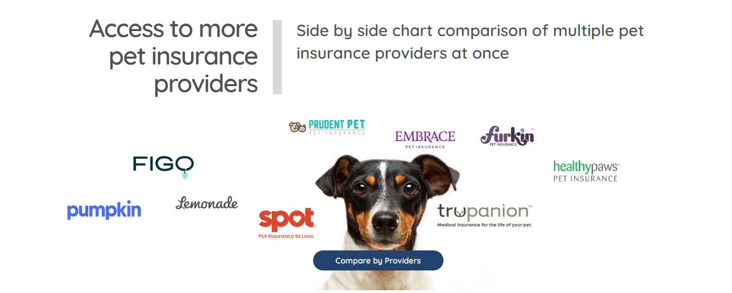 Pet insurance Logo