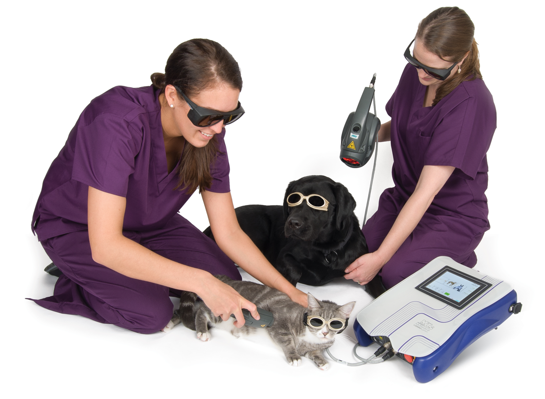 Laser Therapy