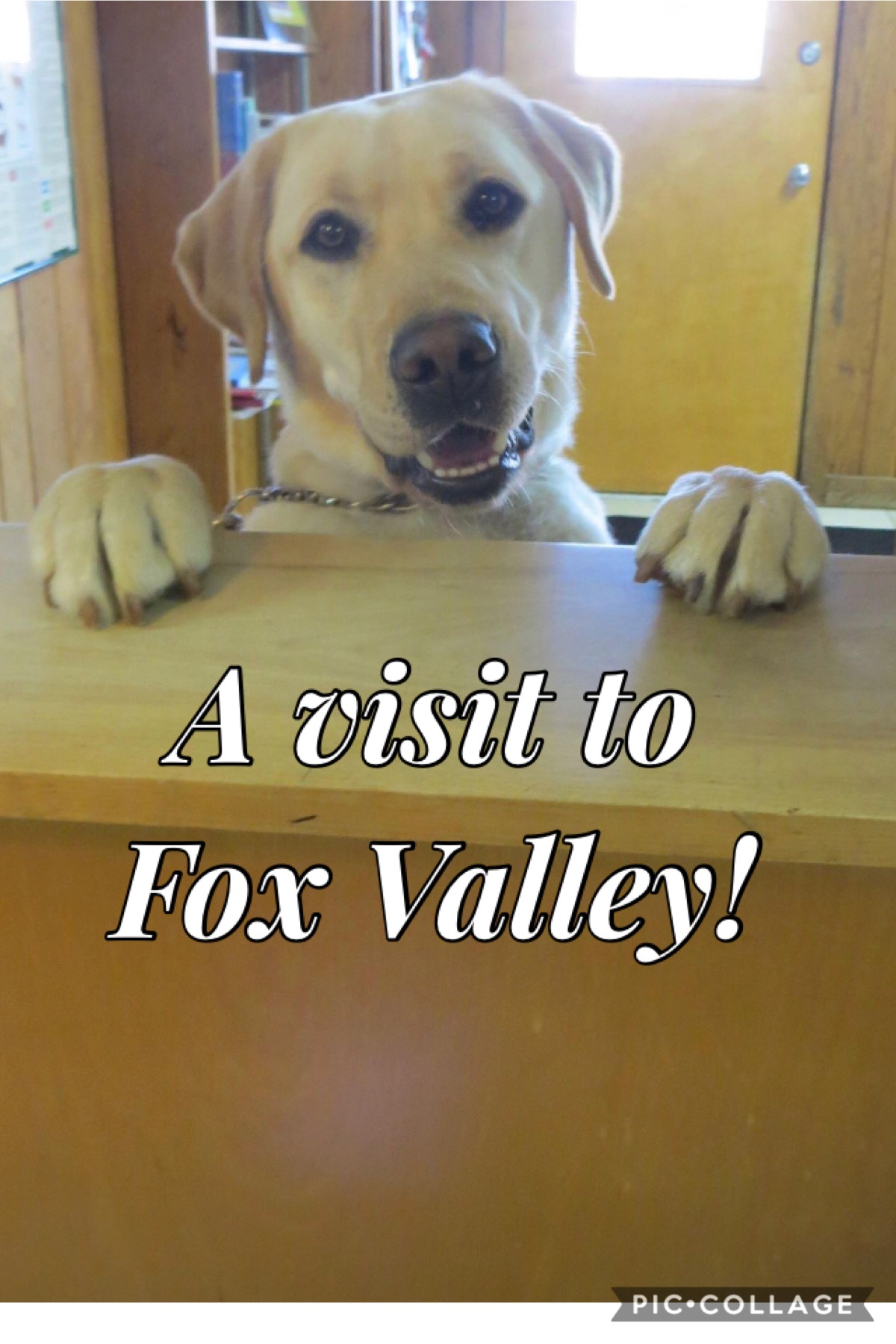 A Visit to Fox Valley